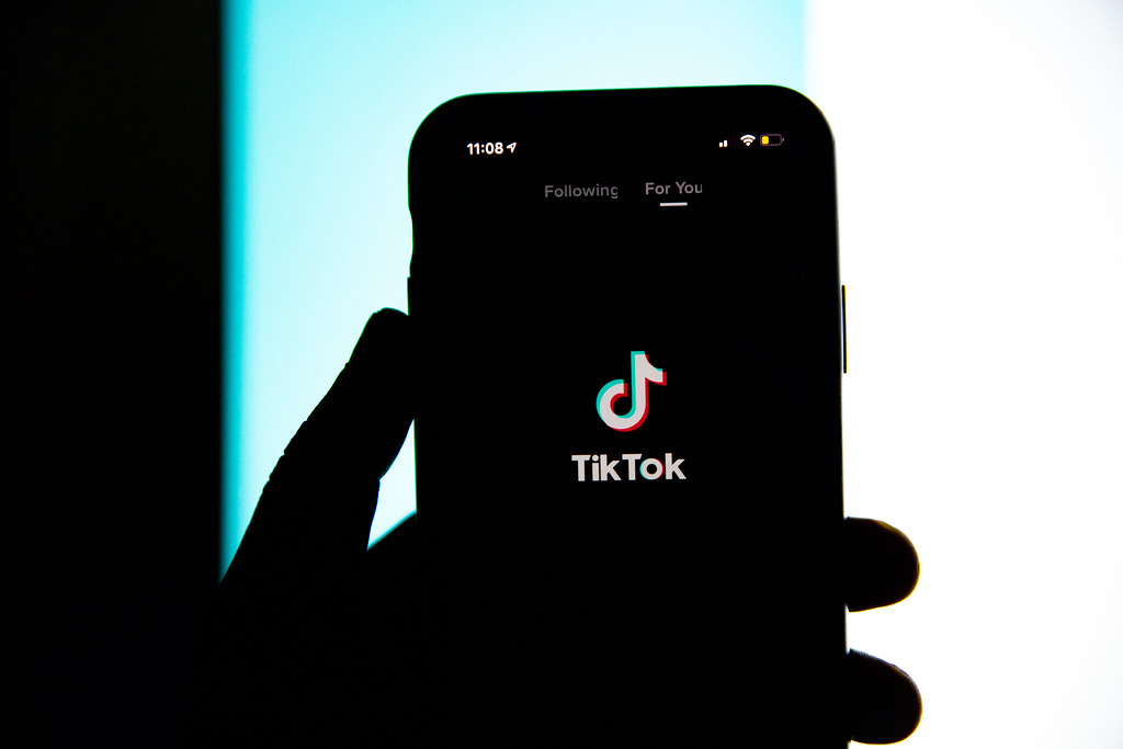 TikTok free FMT