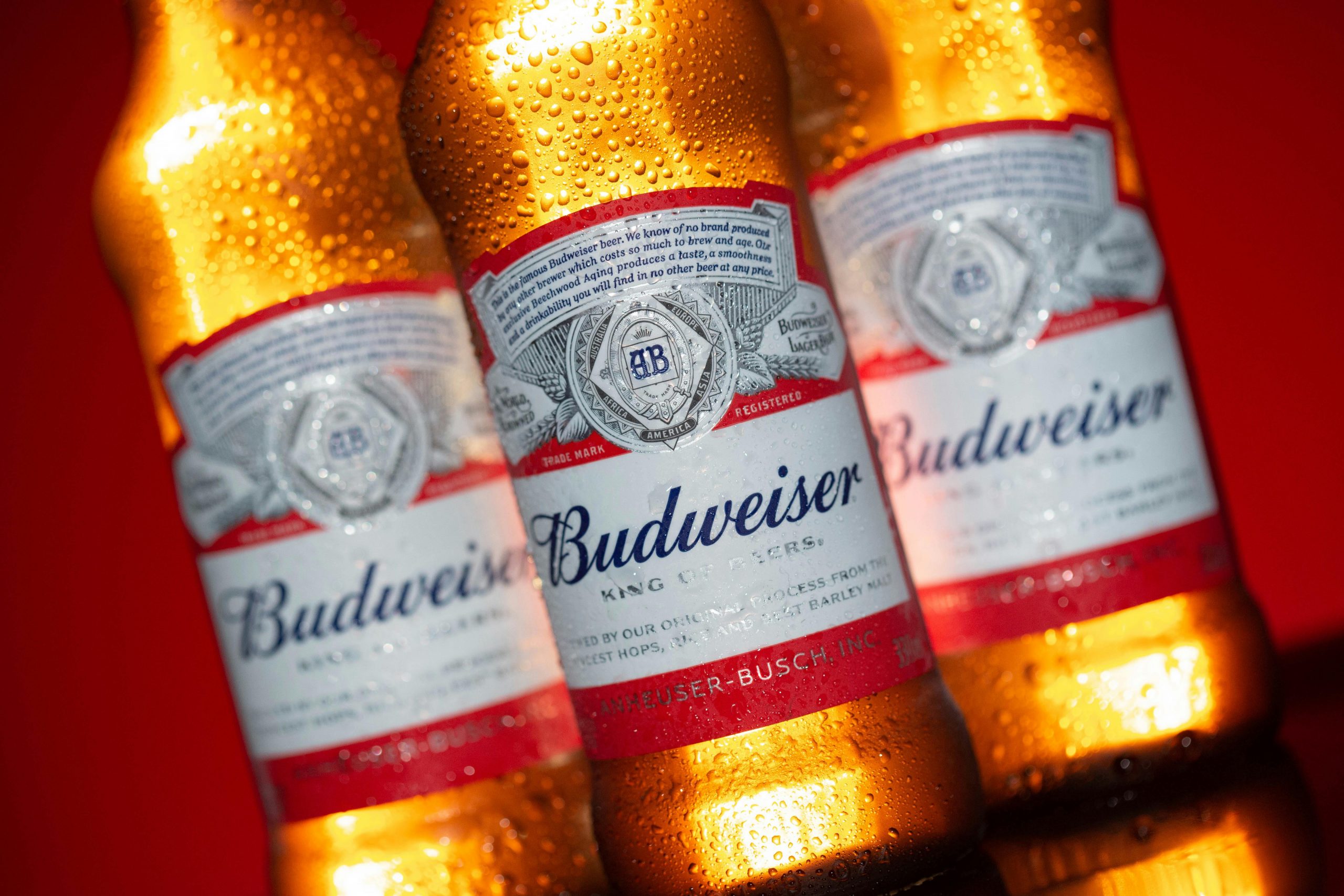 free-photo-of-close-up-of-budweiser-beer