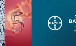 Bayer in Italia