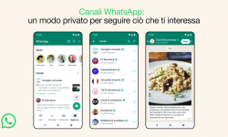 canali whatsapp