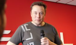 elon musk conservatore