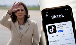 Almeno su TikTok kamala è in vantaggio su Trump