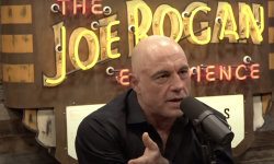 rogan donald trump podcast