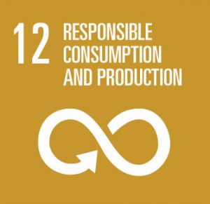 sdg 12 agenda 2030