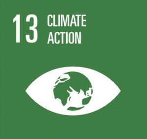 sdg 13 agenda 2030