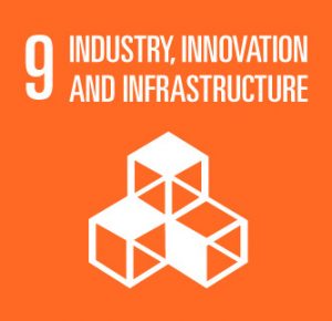 sdg 9 agenda 2030