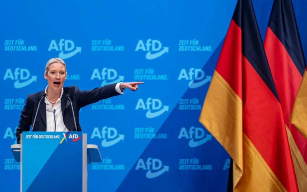 c9414252-alternative-for-germany AFD Alice Weidel free FMT