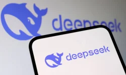 deepseek fmt free